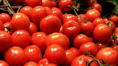 Tomatoes to eat in the supermarket. Tomaotes, tomatoes for, market,の写真素材