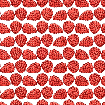 Raspberry berries seamless pattern. Vector background for design label malines jam, juice and fruit tea packaging or printing fabric. Sketch illustration of ripe autumn harvest.のイラスト素材