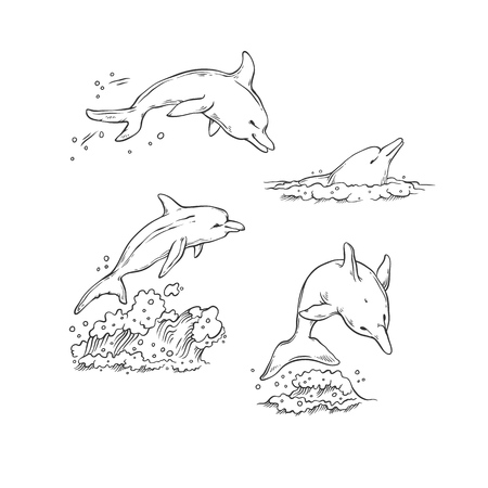 Vector sketch set dolphins jumping dive and swim. Monochrome black sea animals isolated on white background for dolphinarium or oceanarium tourist cards or banners design.のイラスト素材