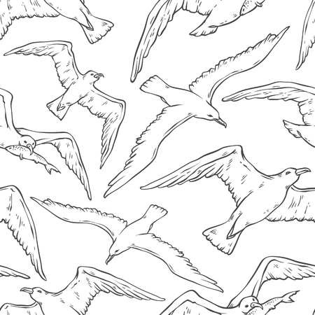 Vector seamless pattern flying seagulls. Bird gull angler black white monochrome outline sketch illustration isolated on white background for design on marine themeのイラスト素材