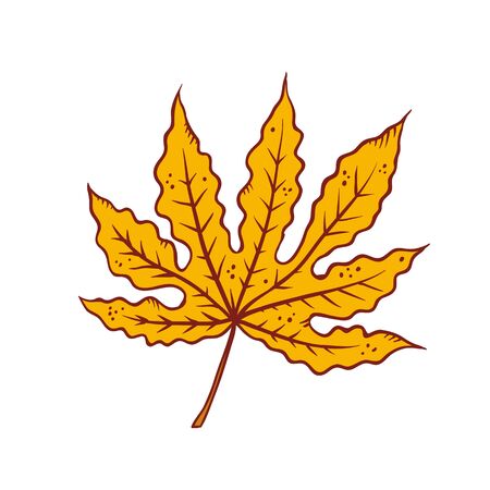 Autumn maple leaf september or october yellow defoliation foliage. Vector outline illustration sketch colourful isolated autumnal herbal graphic.のイラスト素材