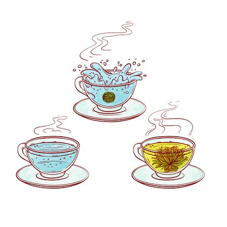 Tea herb flowers brew process make in transparent cup hot drink with leaves. Vector sketch line hand drawn illustrationのイラスト素材