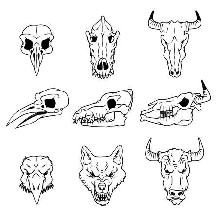 Vector skulls and heads of raven, wolf and buffalo isolated illustrations.のイラスト素材