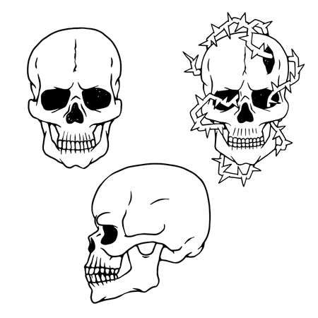 Vector human skulls sketch side and front views isolated illustrations.のイラスト素材
