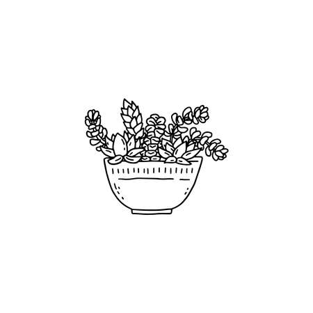 succulent houseplant. Indoor potted plant vector outline black and white doodle illustration.のイラスト素材