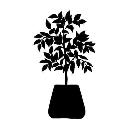 silhouette leea houseplant. Indoor potted plant vector outline black and white doodle illustration.のイラスト素材
