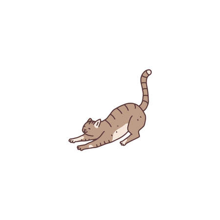 Cat domestic animal. Pet outline doodle vector illustration.のイラスト素材