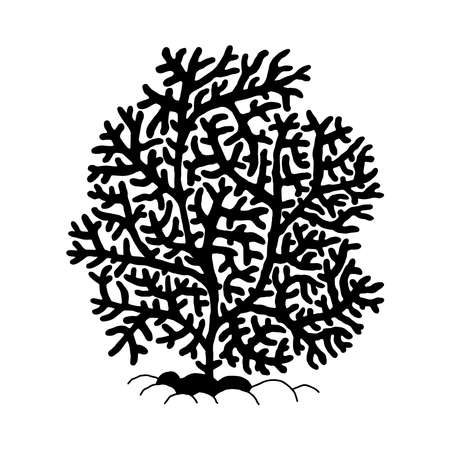 Coral. Vector silhouette coralline reef ocean animal underwater life doodle isolated illustration.のイラスト素材