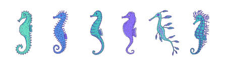 Set blue seahorses different forms. Vector wild ocean animals underwater life doodle line isolated illustrations.のイラスト素材