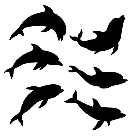 Dolphin silhouette set. Jumping playful aquatic animal doodle vector Illustration.のイラスト素材