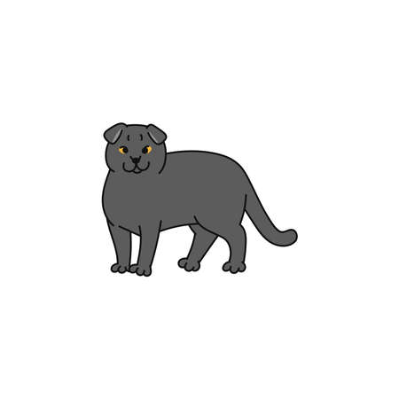 cat breed scottish fold contour sketch doodle illustration.のイラスト素材