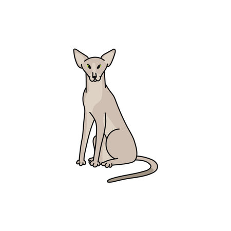 cat breed oriental shorthair contour sketch doodle illustration.のイラスト素材