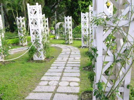 Walkway in gardenの写真素材