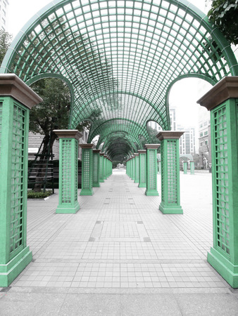 Long walkway in parkの写真素材