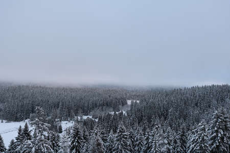 Snow-covered farm on the edge of a giant snow-covered pine forestの写真素材