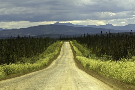 Road to Arctic Circle from Fairbanksの写真素材