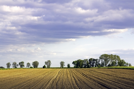 Agricultural Field In The Late Afternoonの写真素材