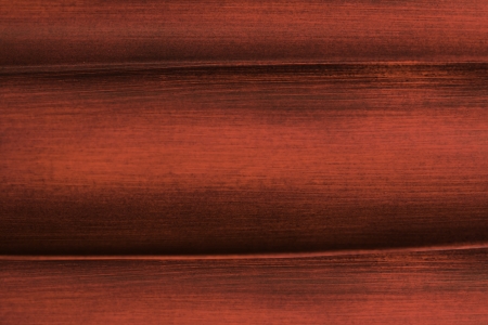 Wooden background macro closeupの写真素材