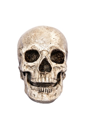 Isolated skull front viewの写真素材