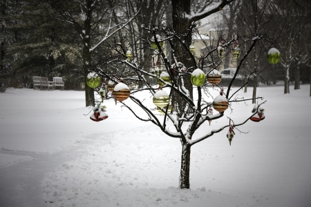 Christmas balls on the tree during winter sceneryの写真素材