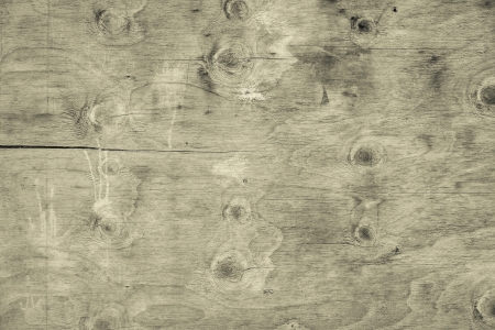 Wooden knotty panel as backgroundの写真素材