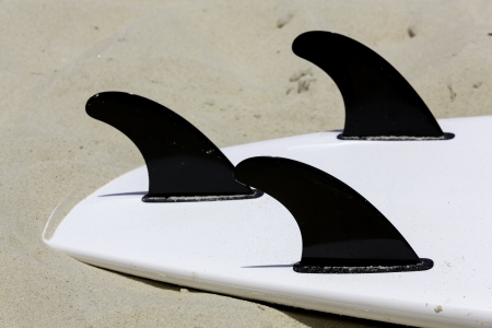 Surfing board on the beachの写真素材