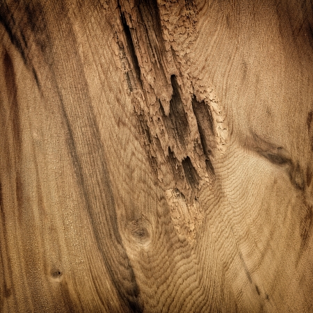 Wooden raw knotty board patternの写真素材