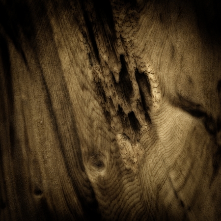 Wooden raw knotty board patternの写真素材