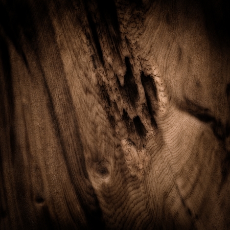 Wooden raw knotty board patternの写真素材