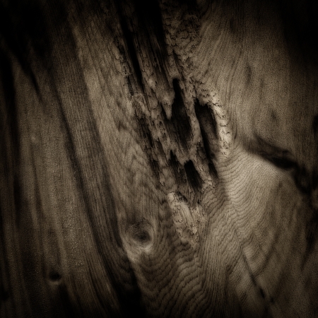Wooden raw knotty board patternの写真素材