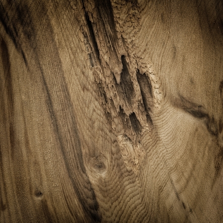 Wooden raw knotty board patternの写真素材