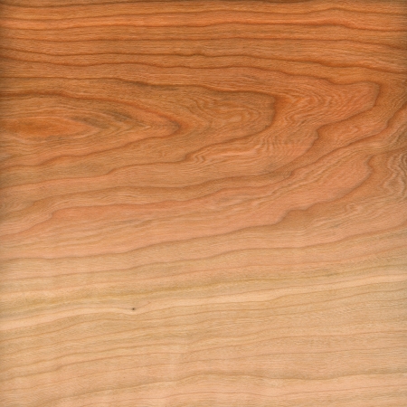 Wood background close up, high resolution imageの写真素材