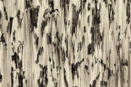 Paint background in grunge style, different texturesの写真素材