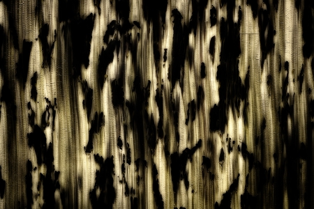 Paint background in grunge style, different texturesの写真素材