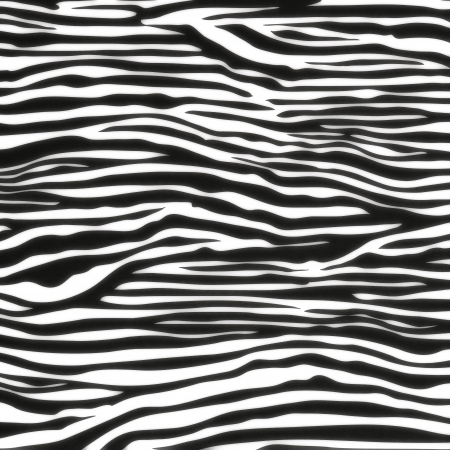 Zebra black seamless patternの写真素材