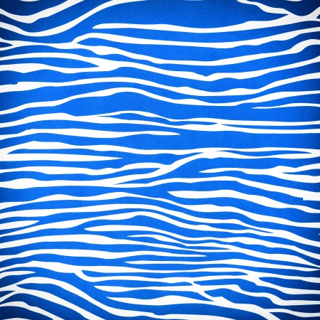 Zebra blue seamless patternの写真素材