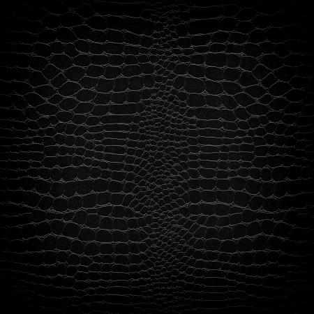 Crocodile leather background patternの写真素材