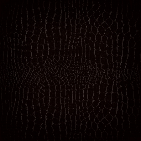 Crocodile leather background patternの写真素材