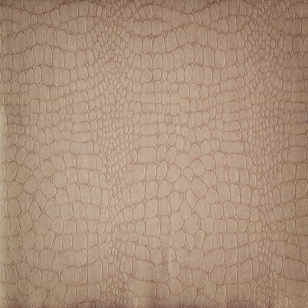 Crocodile leather background patternの写真素材