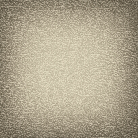 Leather closeup for texture or backgroundの写真素材