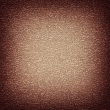 Leather closeup for texture or backgroundの写真素材