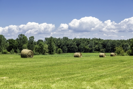 American countryside against blue sky with cloudsの写真素材