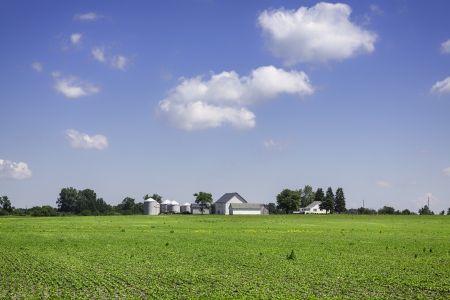 American countryside organic farmの写真素材