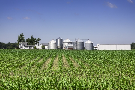 American countryside organic farmの写真素材