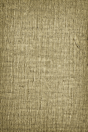 Paint canva surface texture backgroundの写真素材