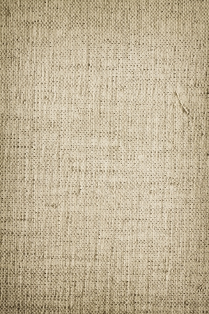 Paint canva surface texture backgroundの写真素材