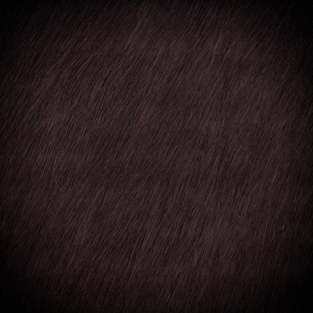 Fur texture close-up backgroundの写真素材