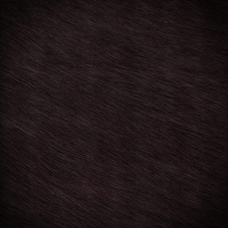 Fur texture close-up backgroundの写真素材