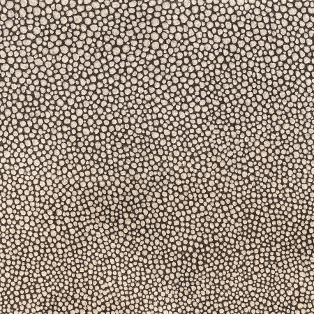 Leather texture background detailの写真素材