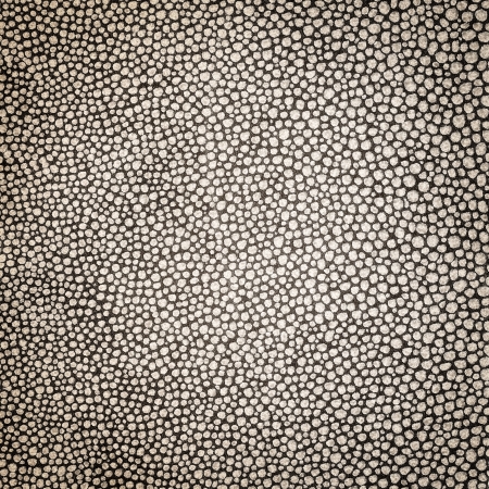 Leather texture background detailの写真素材